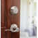 Toluca Keyed Entry Door Lever with Round Rosette