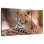 Brampt Botswana Leopard