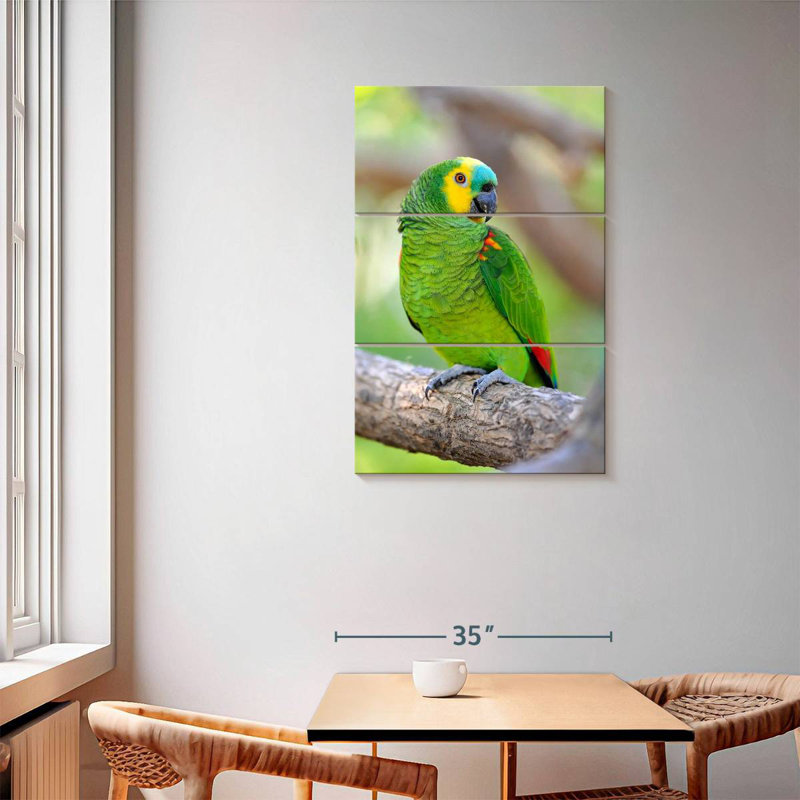 Brampt Turquoise-Fronted Amazon Bird, 57" H x 36" W