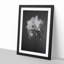 Pretty White Orchid - Framed Print-55768057-55768061