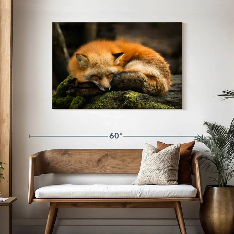 Renard jaune endormi, H 30 po x l 45 po