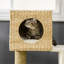 Arbre à chat, arbre à chat tressé pour l'intérieur, tour de chats