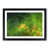 Black Framed selected