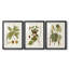 Feuilles antiques I - Impression sur mesure encadrée de qualité supérieure - 3 pièces-2126529242-2126529221