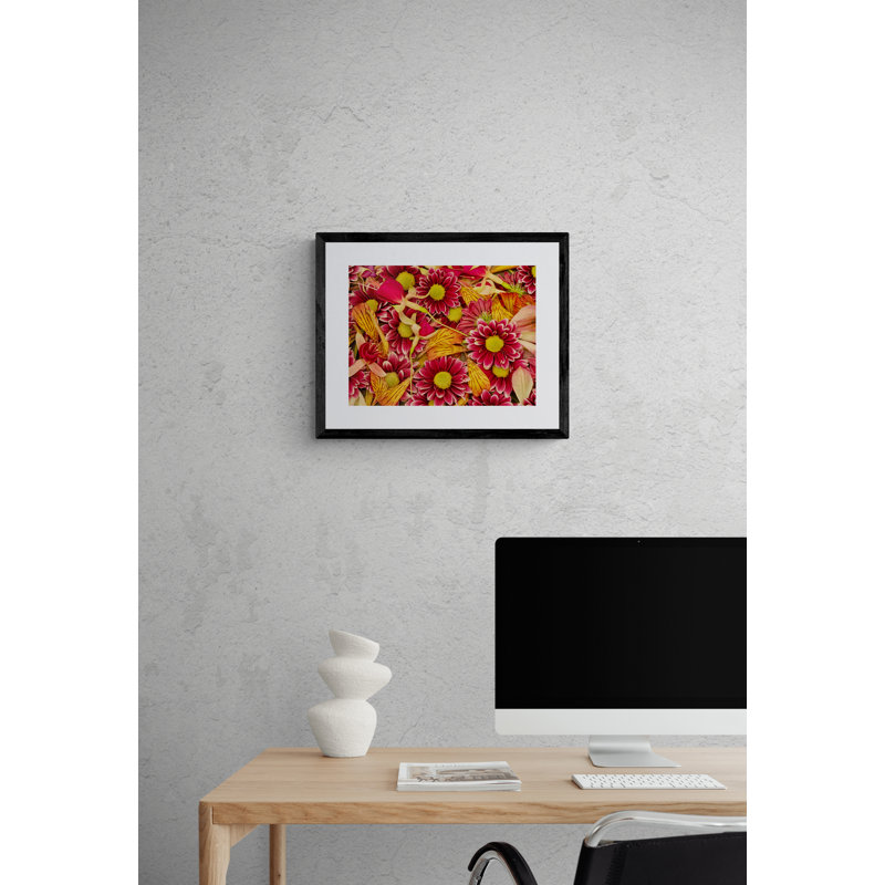 Study In Petals Print by Harold Davis, Black Framed Canvas, 24" H x 32" W