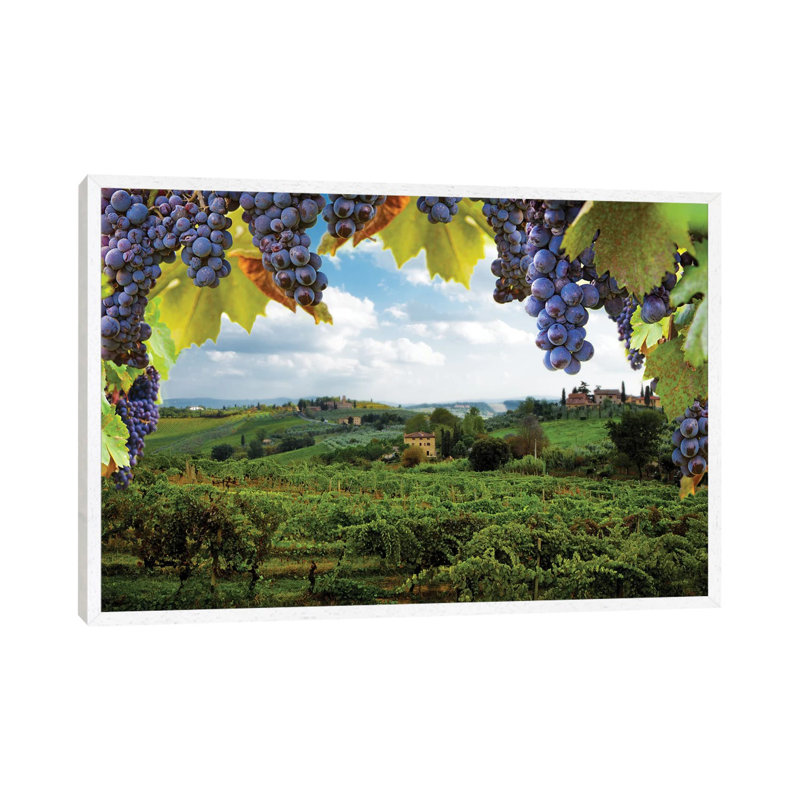 Vineyards In San Gimignano Italy by Susan Schmitz - Print on Canvas, 66.04cm H x 101.6cm W x 3.81cm D, White Floater Framed