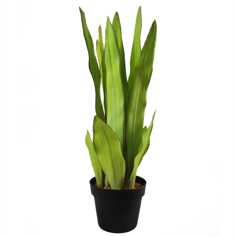 177.8cm Faux Snake Plant (Sansevieria) Plant in Pot Liner