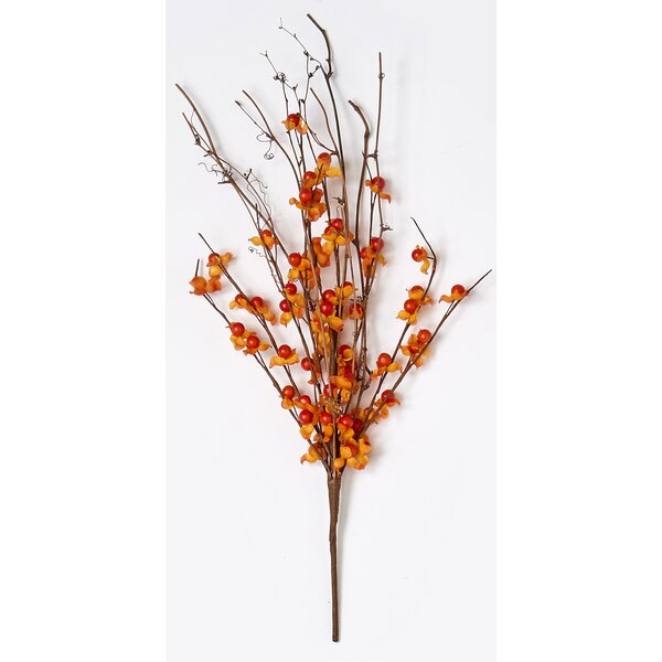 Autumn Dried Flowers… – WonderfulWolf