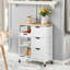 Ryland Kitchen Trolley-89989001-89989000