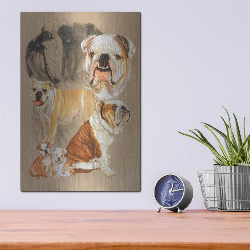 «English Bulldog» par Barbara Keith, H 16 po x l 12 po
