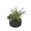Faux Cactus Succulent in Pot