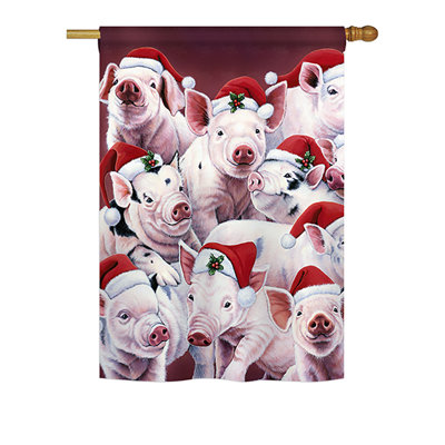 Drapeau de maison en polyester Thorbjorn