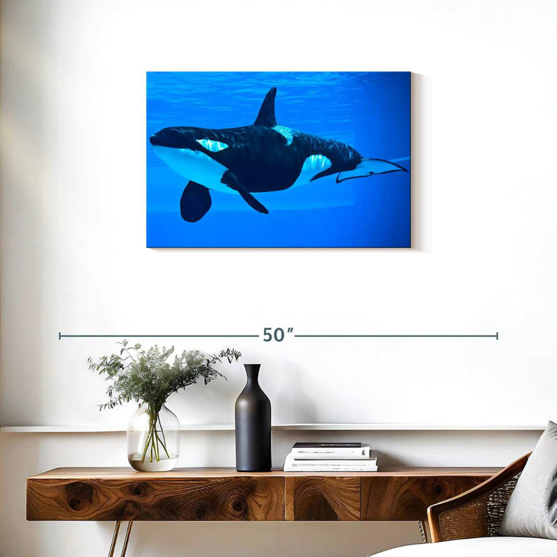 Brampt Friendly Killer Whale, 20" H x 30" W