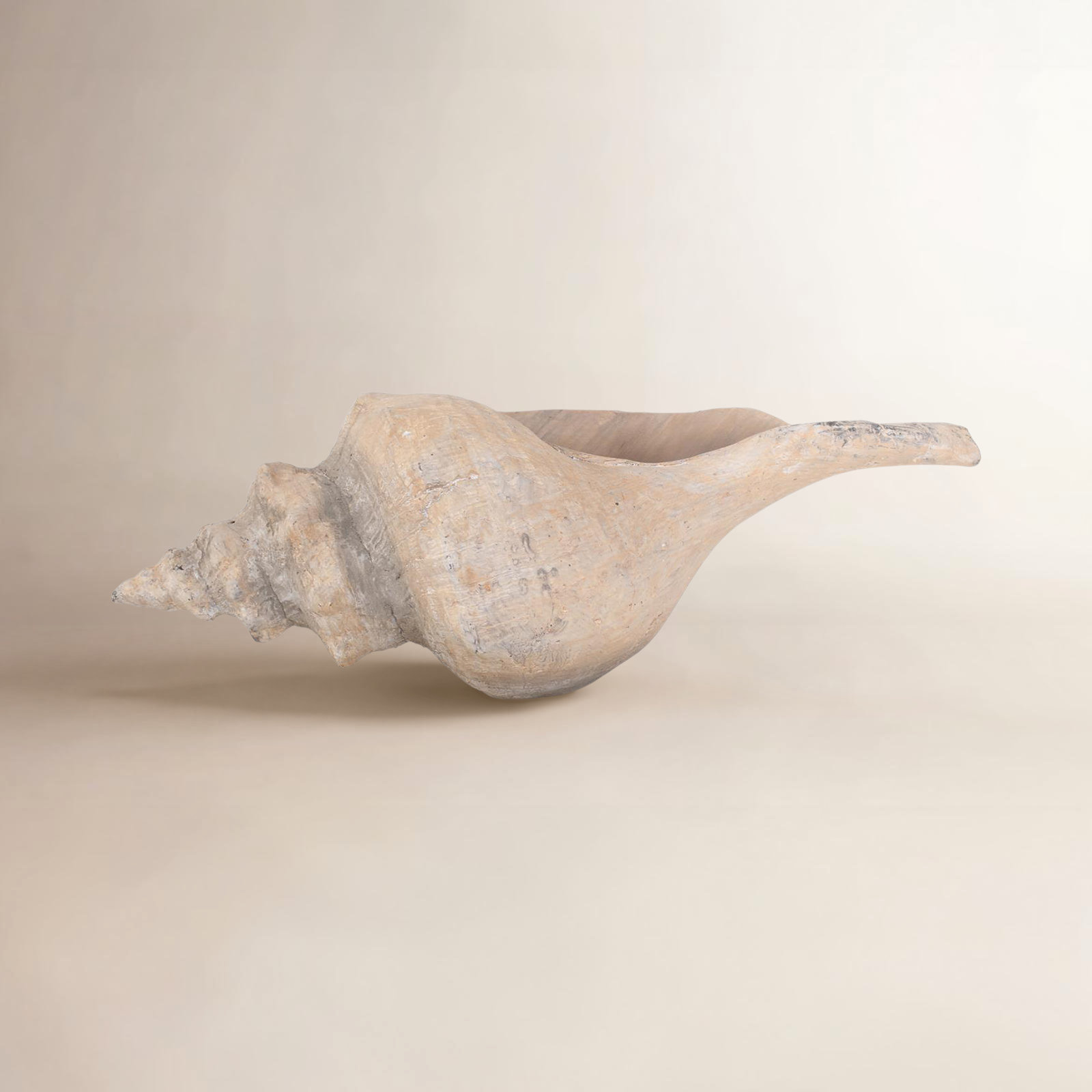 Keaton Horse Conch Sculpture