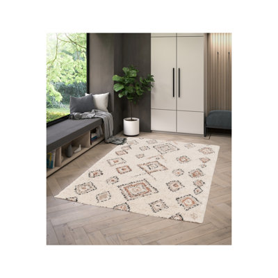 Takehito Oriental Area Rug
