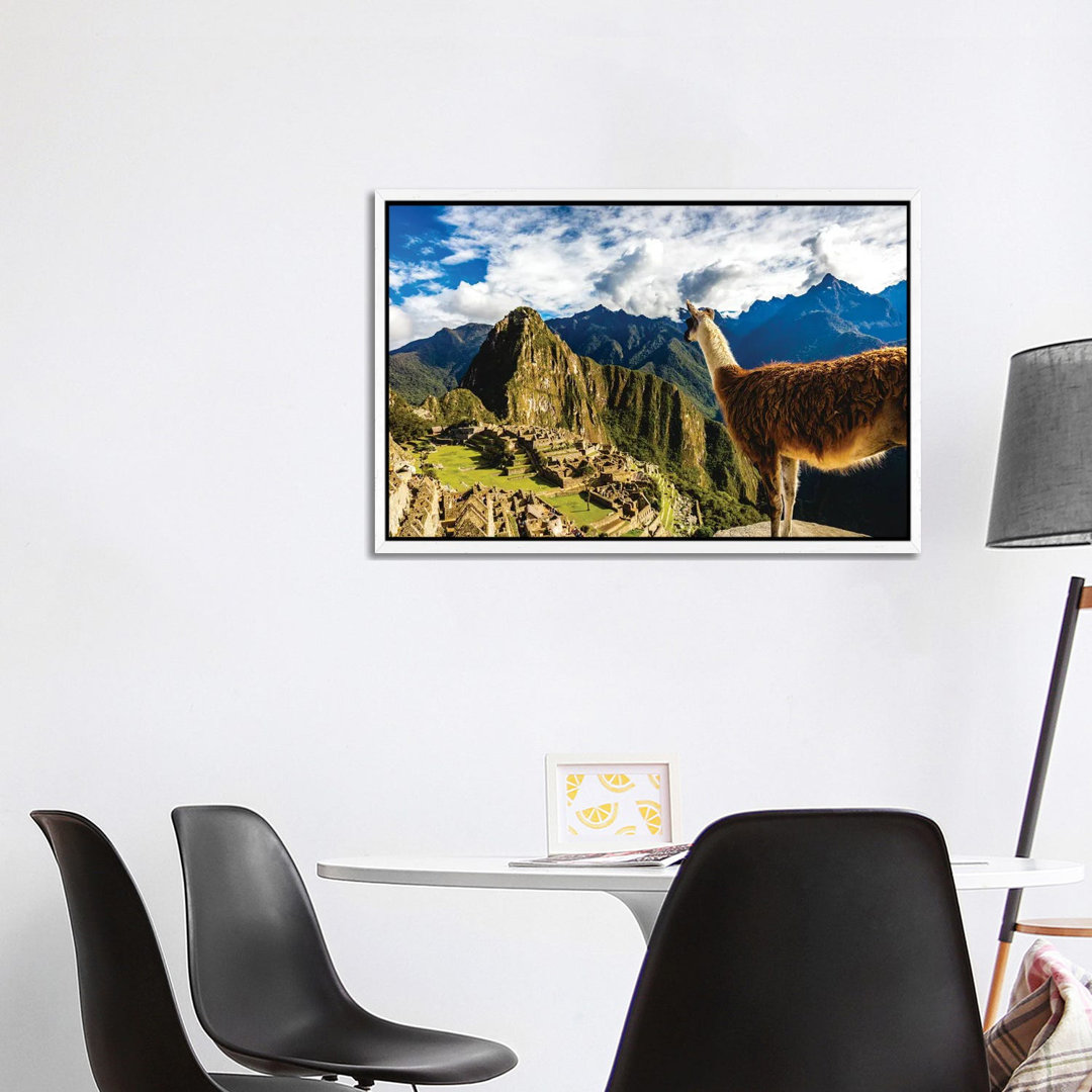 Peru Machu Picchu Lama Overlooking von Alex G Perez - Galerie-umwickelte Leinwand Giclée auf Leinwand