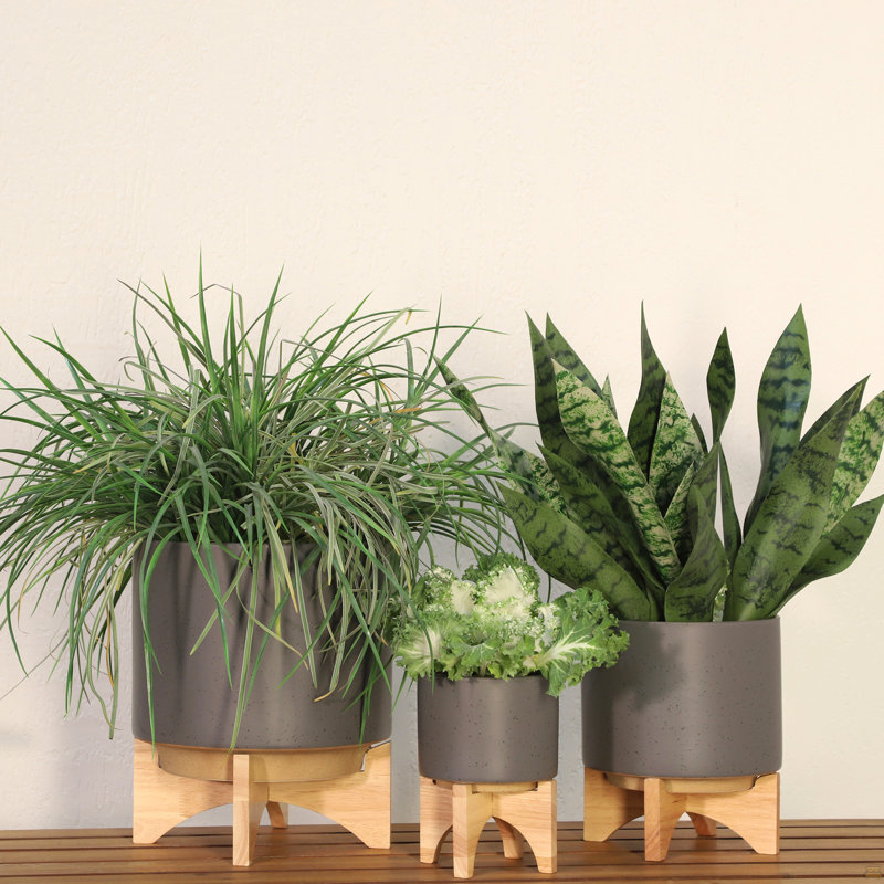 PLATEAU 8 "AVEC SUPPORT EN BOIS, GRIS MAT
