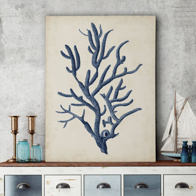 " Coral IV "