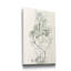 « Sauge Green algue VI », reproduction d’art sur toile tendue-772498233