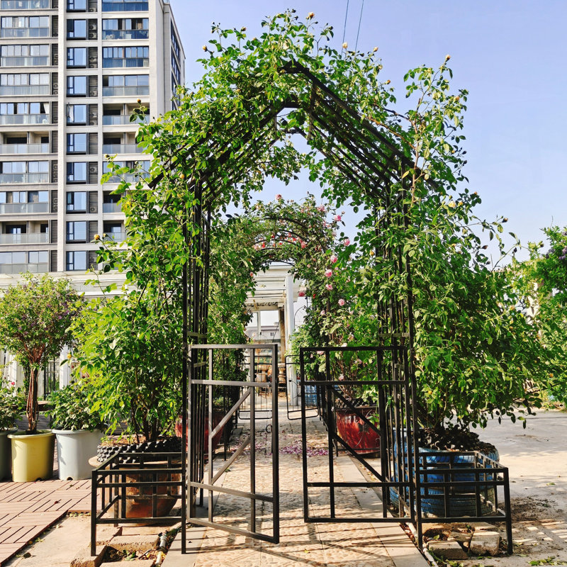 Arche de jardin en métal avec barrière et jardinière, parfaite pour les plantes grimpantes et la décoration extérieure