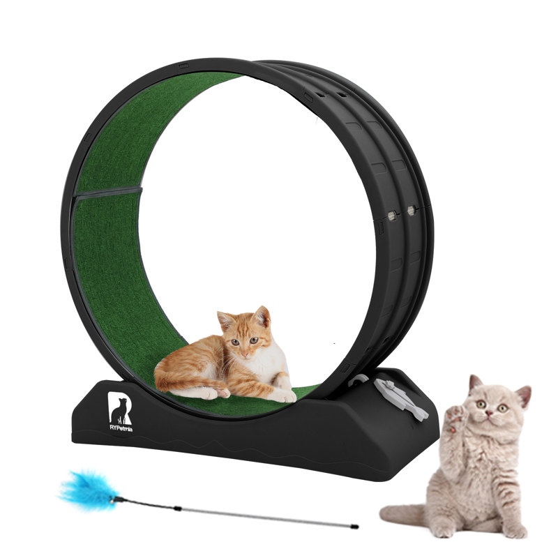 Roue d'exercice pour chat 33,5 "sans bruit, Noir