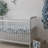 Cove Ocean Animal Storage Cube