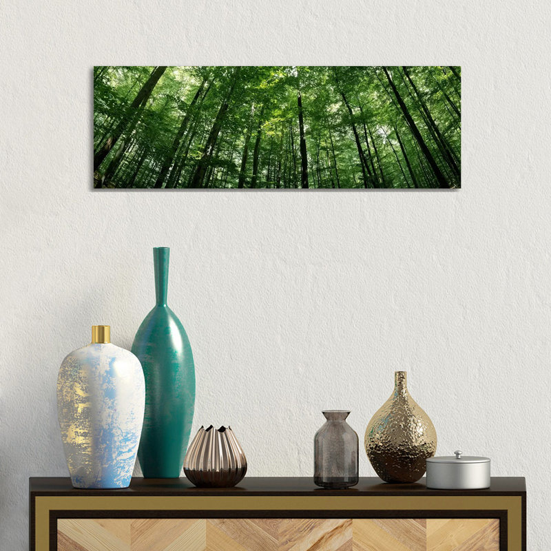 Low Angle View Of Beech Trees, Baden-Wurttemberg, Germany #2 - Wrapped Canvas Panoramic Print
