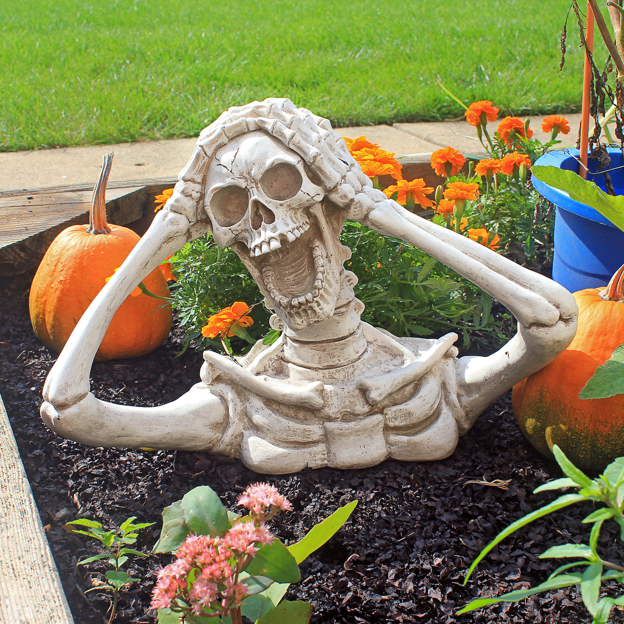 Design Toscano Shriek, the Skeleton Statue & Reviews | Wayfair
