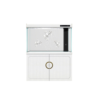 Grand aquarium 31,5 po