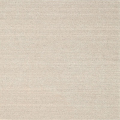 Indoor Rug