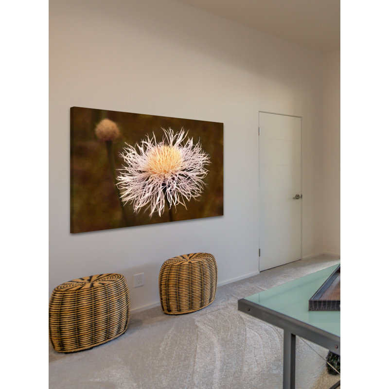 Pandemonium by Leda Robertson - Wrapped Canvas Print, 102cm H x 152cm W x 4cm D