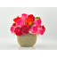 Arrangement de vraies roses dans un vase