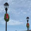 Couronne 24 po Deluxe Evergreen