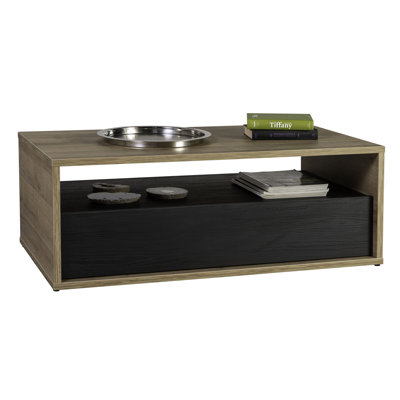 Dentro Frame Coffee Table with Storage