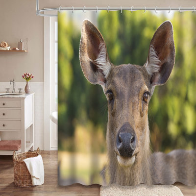 Deer Reindeer Animal Beautiful Brown Buck Cute Environment Field Brown Field Shower Curtain with 12 Hooks
