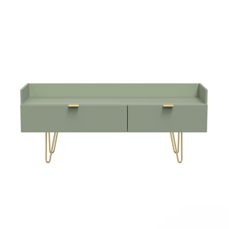 Taeyah 2 Drawer TV Unit, Green
