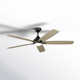 Lise 60'' 5 Blade Ceiling Fan with LED Light Kit