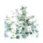Eucalyptus I Cool - Wrapped Canvas Painting-817056919