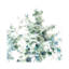 Eucalyptus I Cool - Wrapped Canvas Painting-817056922