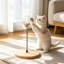 Jouet pour chat en bois avec distributeur de friandises en bois