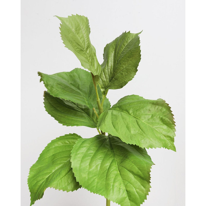 Hydrangea Leaf Faux Foliage 20"