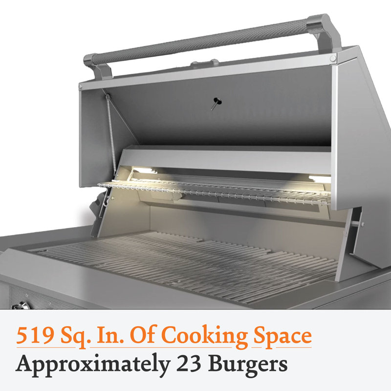 Aspire Grill Built-In, 2 U-Burner, Rotisserie 30", Natural Gas