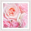Sylvia Cook - Single Picture Frame Print-1330947650
