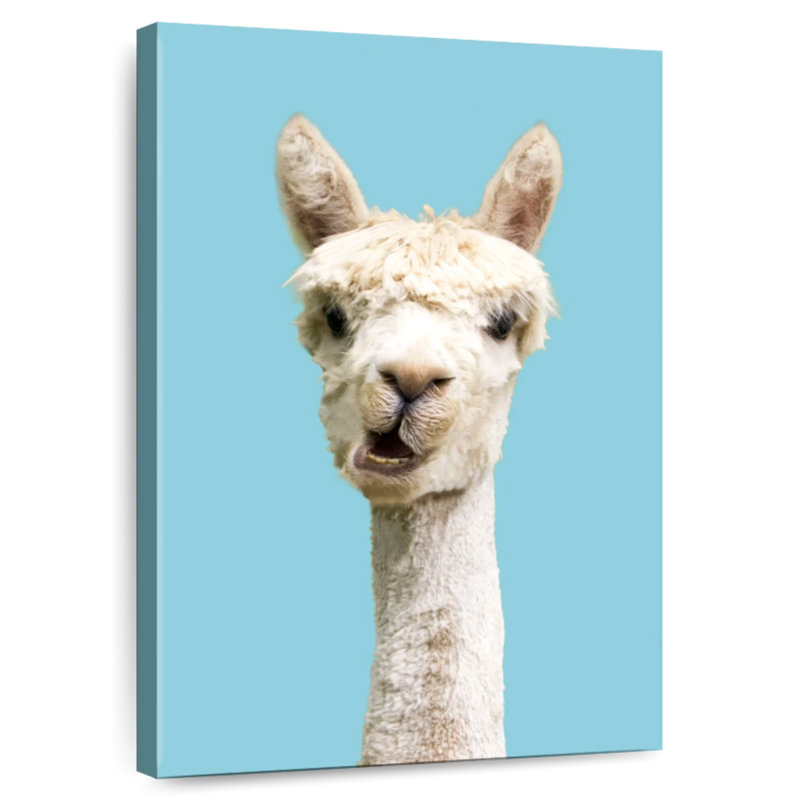 Brampt White Funny Alpaca, 48" H x 32" W