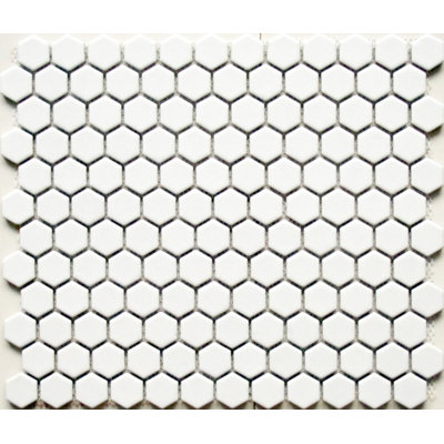 Perfection 1" x 1" Porcelain Mosaic Wall and Floor Tile