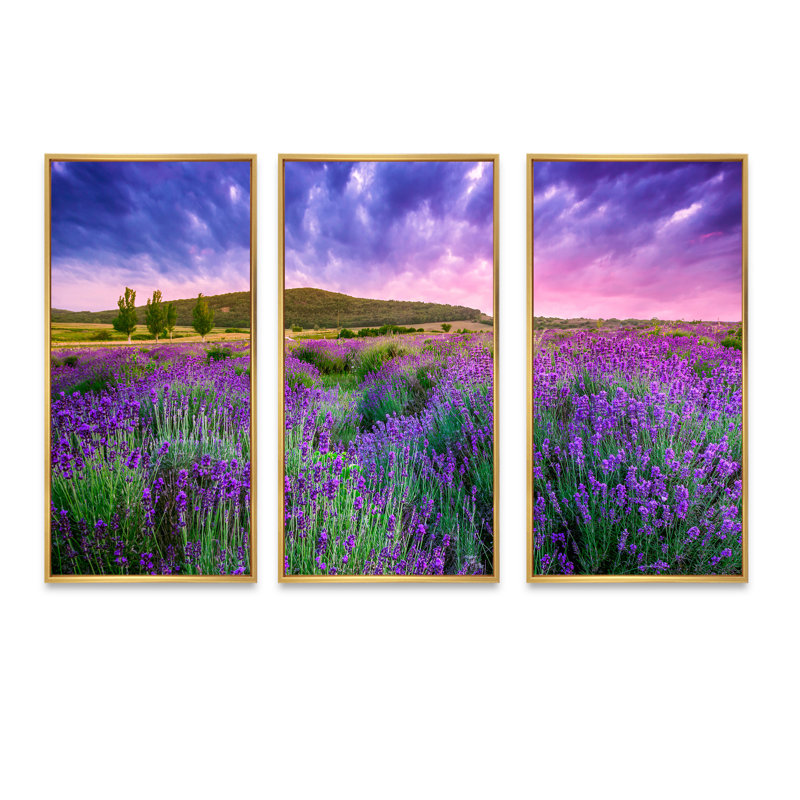 «Glorious Sunset Over Blossoming Lavender Field», reproduction de cadre flottant sur toile 3 pièces, Cadre doré