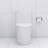 Elongated One Piece Toilet
