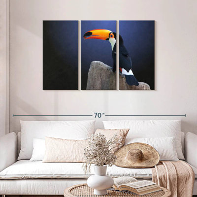 Toucan With Grape