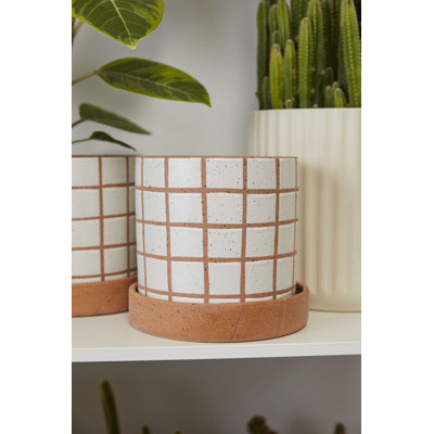 Gridline avec grande soucoupe