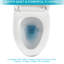 Toilette en céramique une pièce - chasse au siphon, siège à fermeture douce, haute, faible absorption d'eau, blanc, look moderne, contenu en porcelaine, blanc